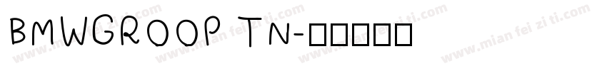 BMWGROOP TN字体转换